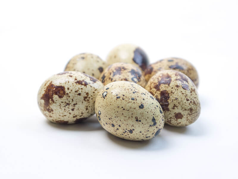 うずらの卵（生）