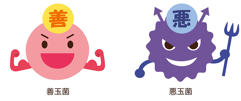 腸内フローラを構成する菌のイメージ