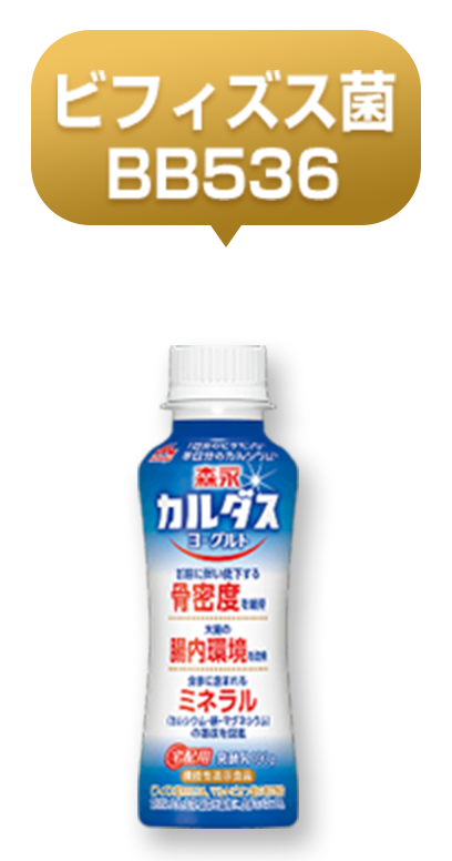 ビフィズス菌BB536　森永カルダスヨーグルト　ドリンクタイプ