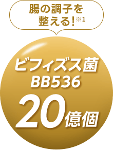 腸の調子を整える！ビフィズス菌BB536　20億個
