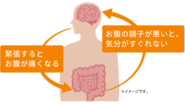 お腹の調子が悪いと、気分がすぐれない 緊張するとお腹が痛くなる イメージ