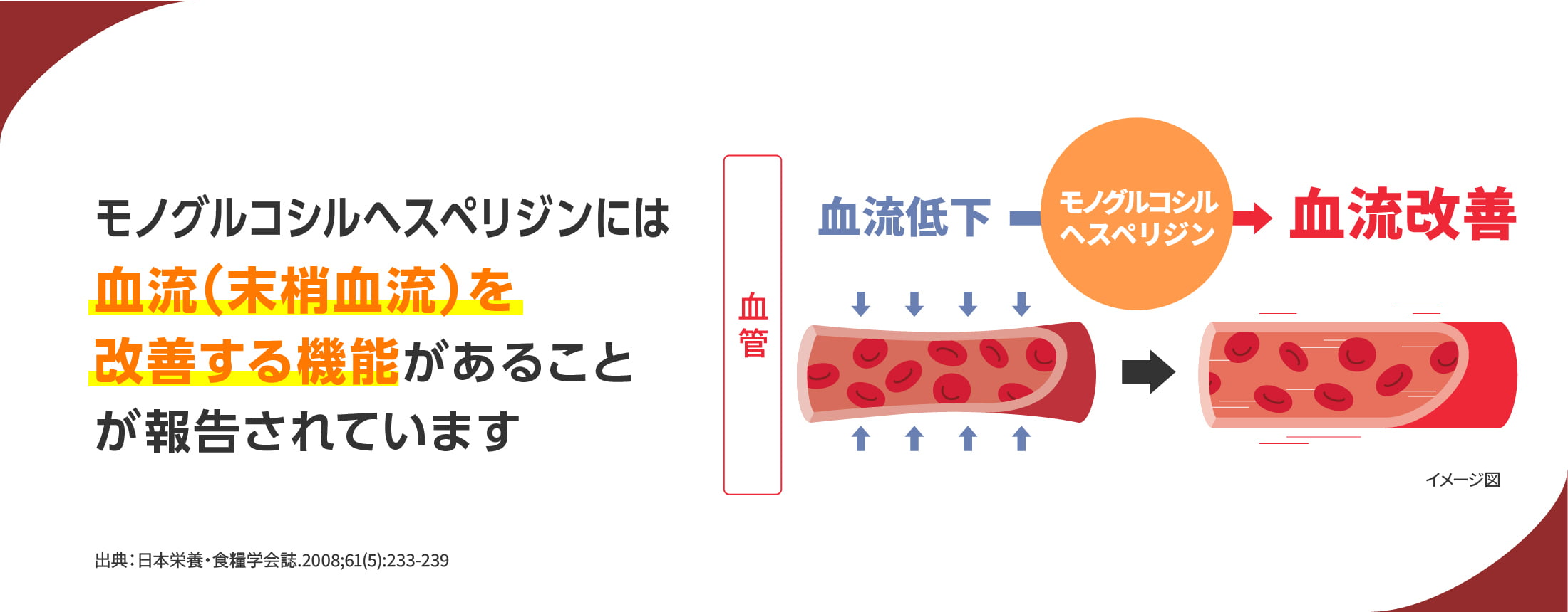 モノグルコシルヘスペリジンには血流 (末梢血流)を改善する機能があることが報告されています。出典：日本栄養・食糧学会誌.2008;61(5):233-239