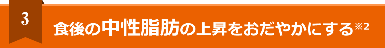 3 食後の中性脂肪の上昇をおだやかにする※2