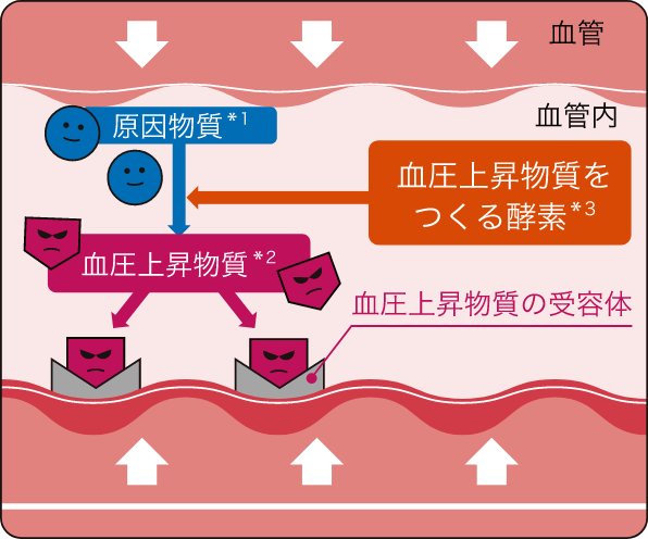 トリペプチドMKPがない場合の図