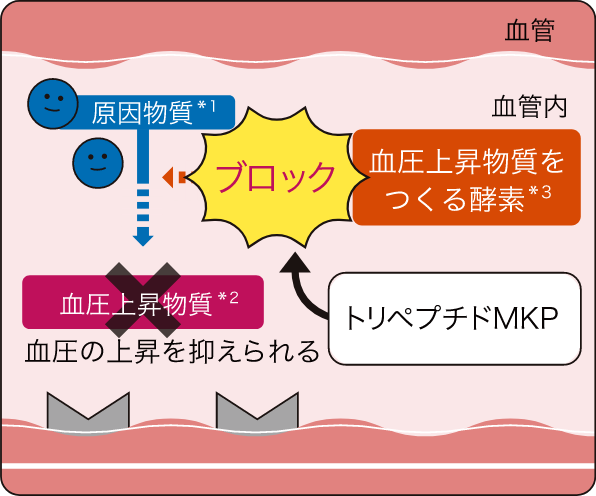 トリペプチドMKPがある場合の図